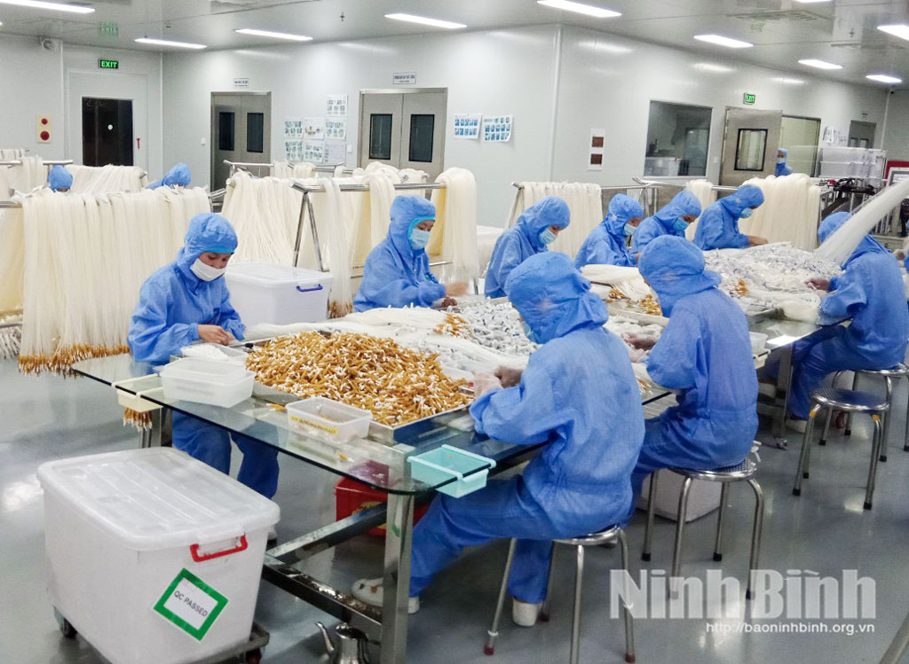 Dây chuyền sản xuất tại Công ty Cổ phần Nhựa y tế Việt Nam